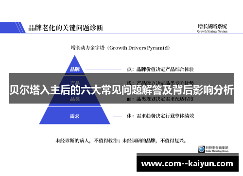 贝尔塔入主后的六大常见问题解答及背后影响分析