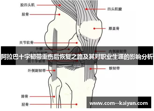 阿拉巴十字韧带重伤后恢复之路及其对职业生涯的影响分析 阿拉巴十字韧带重伤后恢复之路及其对职业生涯的影响分析