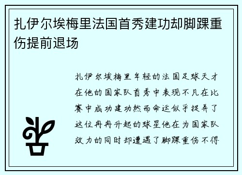 扎伊尔埃梅里法国首秀建功却脚踝重伤提前退场