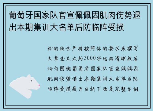 葡萄牙国家队官宣佩佩因肌肉伤势退出本期集训大名单后防临阵受损
